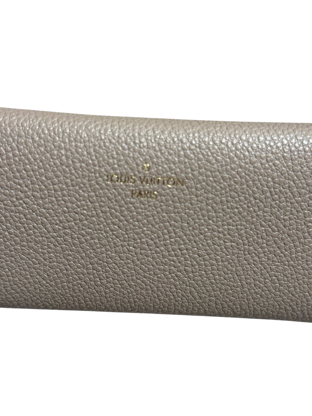LOUIS VUITTON RIVET POCHETTE