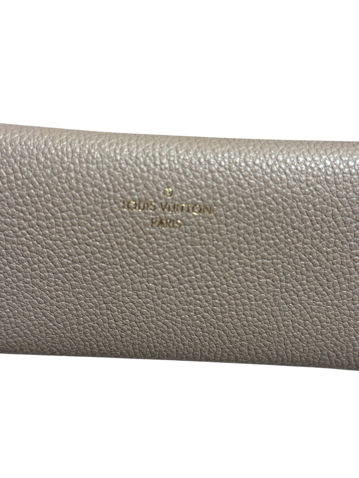 LOUIS VUITTON RIVET POCHETTE